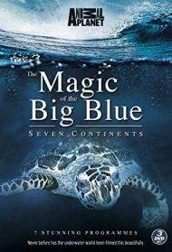 The Magic of The Big Blue