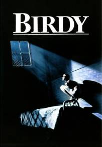 Birdy - Le ali della libertà