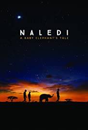 Naledi: A Baby Elephant' s Tale