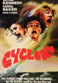 Cyclone - Ciclone
