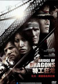 Il ponte del dragone
